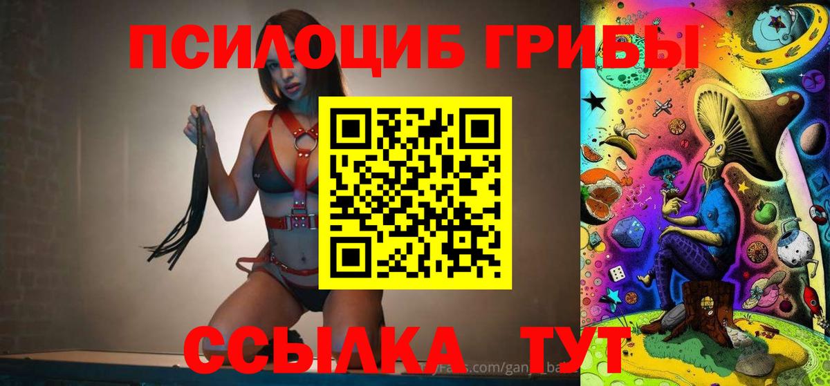 Нефтекамск  закладка  Вход с VPN  Псилоцибиновые грибы Cubensis  Псилоцибиновые грибы MAGIC MUSHROOMS 