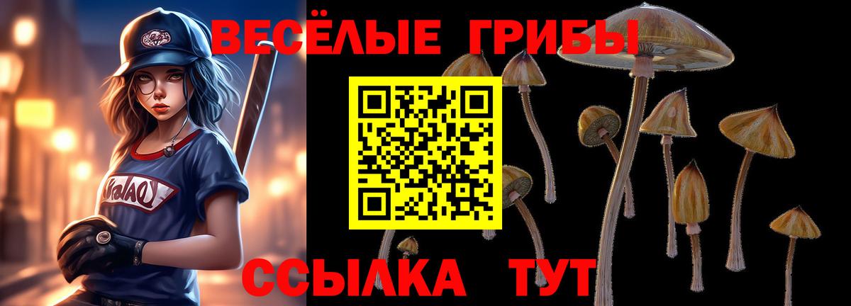 Галлюциногенные грибы прущие грибы Нефтекамск